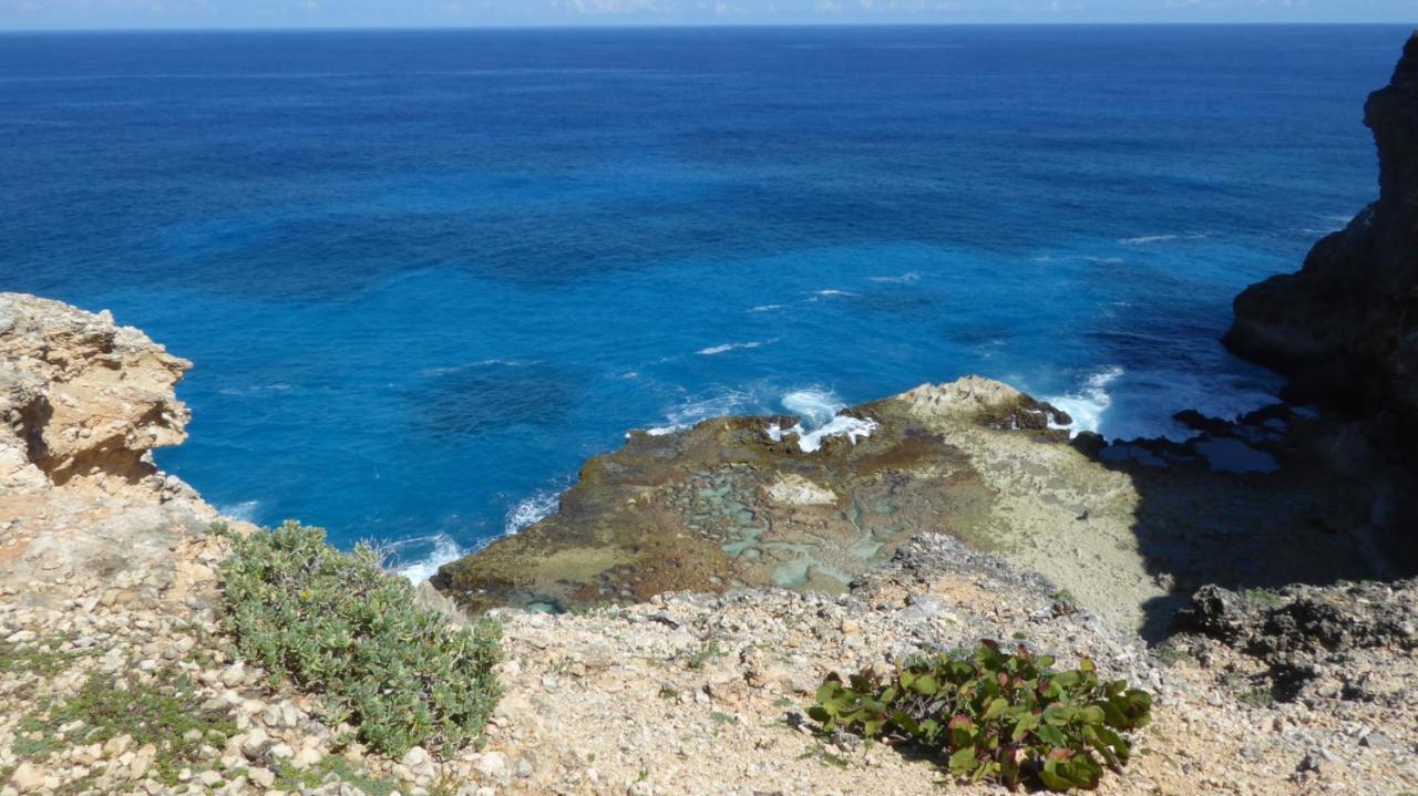 Appartement Proche De La Mer Ty Manganao سانت فرانسوا المظهر الخارجي الصورة